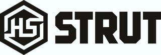 HS STRUT logo