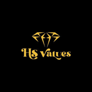 HS VALUES logo