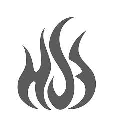 HS3 logo