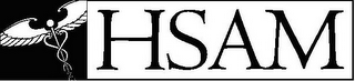 HSAM logo