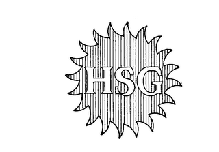 HSG logo
