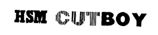 HSM CUTBOY logo