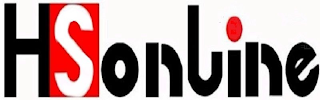 HSONLINE logo