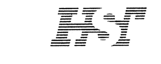 HST logo