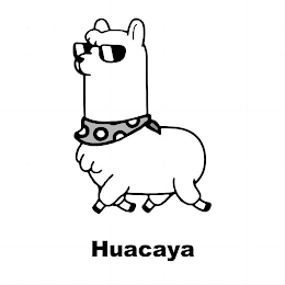 HUACAYA logo