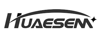 HUAESEM logo