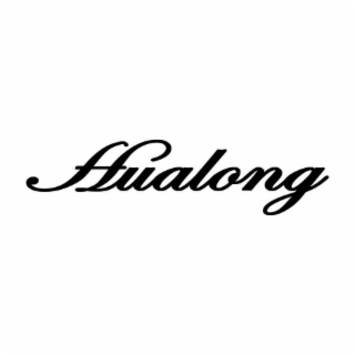 HUALONG logo
