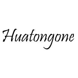 HUATONGONE logo