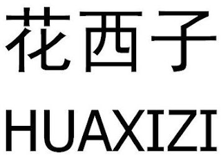 HUAXIZI logo