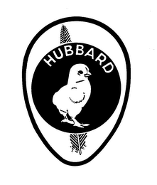 HUBBARD logo