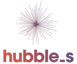 HUBBLE_S logo