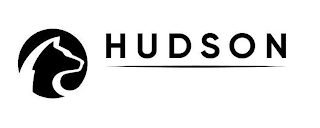 HUDSON logo