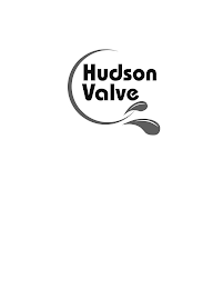 HUDSON VALVE logo