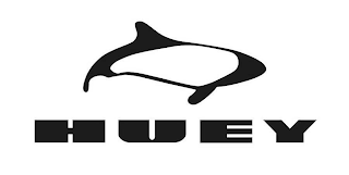 HUEY logo