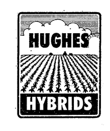HUGHES HYBRIDS logo