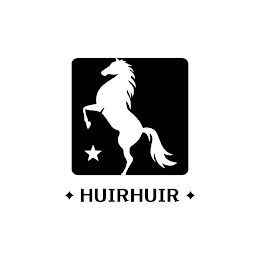 HUIRHUIR logo