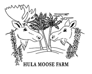 HULA MOOSE FARM logo
