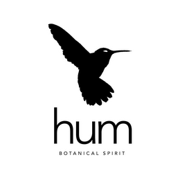 HUM BOTANICAL SPIRIT logo