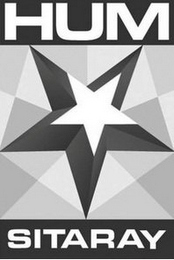 HUM SITARAY logo