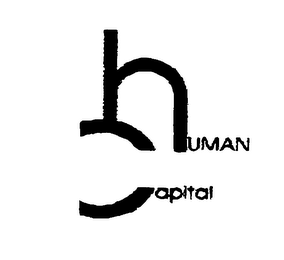 HUMAN CAPITAL logo