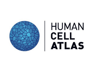 HUMAN CELL ATLAS logo