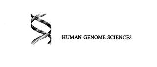 HUMAN GENOME SCIENCES logo