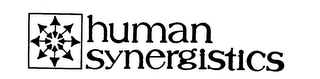 HUMAN SYNERGISTICS logo