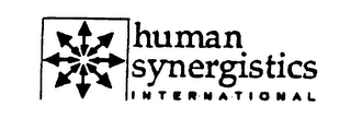 HUMAN SYNERGISTICS INTERNATIONAL logo
