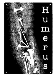 HUMERUS logo