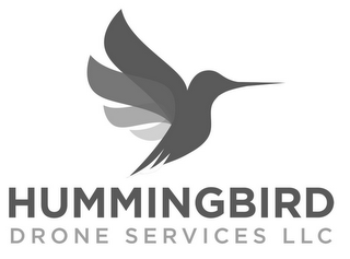 HUMMINGBIRD DRONE SERVICES LLC logo