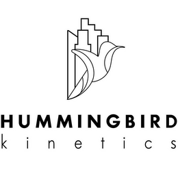 HUMMINGBIRD KINETICS logo
