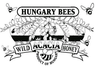 HUNGARY BEES WILD ACACIA HONEY PRODUCT OF HUNGARY logo