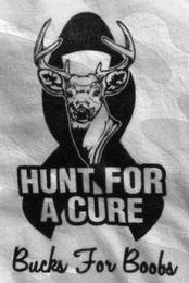 HUNT FOR A CURE BUCKS FOR BOOBS logo