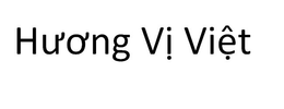HU'O'NG VI VIET logo