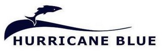 HURRICANE BLUE logo