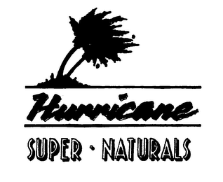 HURRICANE SUPER NATURALS logo