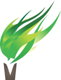 HURRICANE VAPOR logo