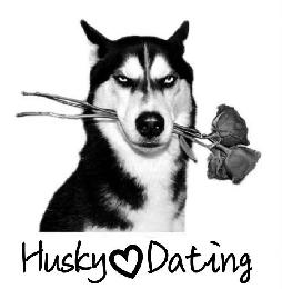 HUSKY DATING logo