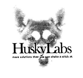 HUSKYLABS logo