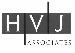 HVJ ASSOCIATES logo