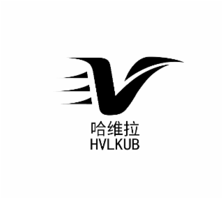 HVLKUB logo