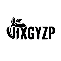 HXGYZP logo