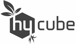 HY CUBE logo