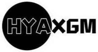 HYAXGM logo