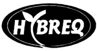 HYBREQ logo