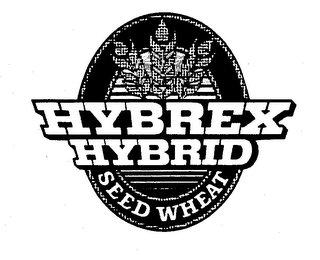 HYBREX HYBRID SEED WHEAT