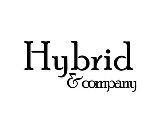 HYBRID & COMPANY logo