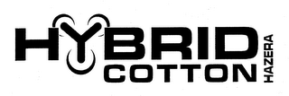 HYBRID COTTON HAZERA logo