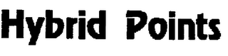 HYBRID POINTS logo