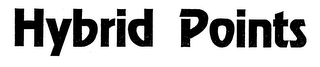 HYBRID POINTS logo